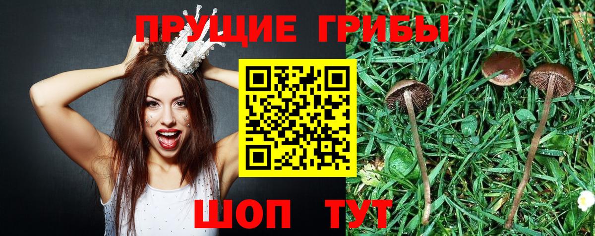 Псилоцибиновые грибы Psilocybe  Вход с VPN  Лиски  Псилоцибиновые грибы MAGIC MUSHROOMS 
